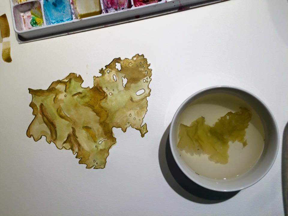 seaweed in bowl watercolour